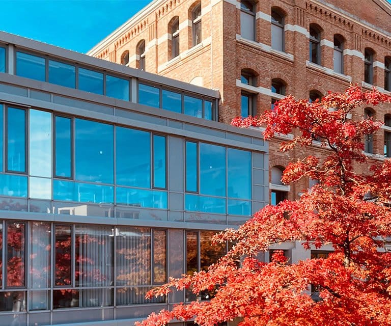 Zahnarztpraxis im ARTmax Braunschweig